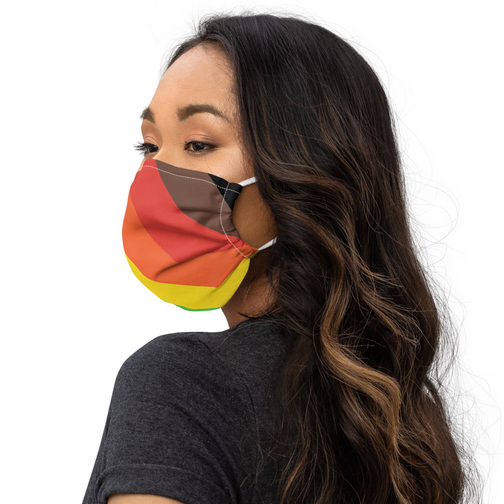 Pride flag face mask